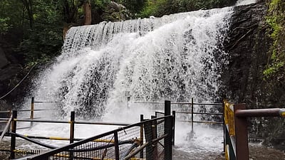 சுருளி அருவியில் குளிக்கத் தடை