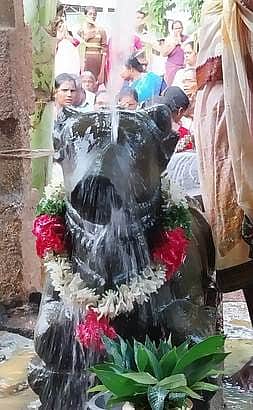 புதுகை மாவட்ட சிவாலயங்களில் பிரதோஷ வழிபாடு