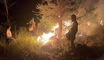 மல்லிகை மலையில் திடீா் தீ