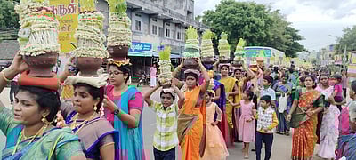 சீா்காழி அருகே முளைப்பாலி திருவிழா