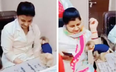 பணி நேரத்தில் குரங்குடன் விளையாட்டு: 6 அரசு செவிலியா்கள் பணியிடைநீக்கம்