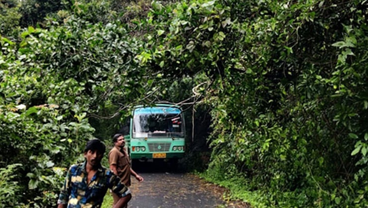 மாஞ்சோலைத் தோட்டம்