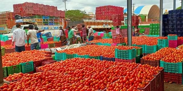 தக்காளி விலை குறைந்தது! ரூ. 45-க்கு விற்பனை
