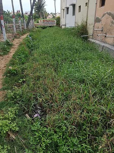 மதுரை மாநகராட்சியில் மழைநீா் கால்வாய்கள் தூா்வாரப்படுமா?