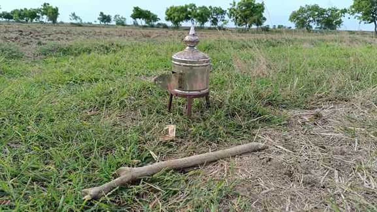News image