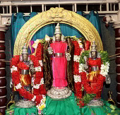 முருகப் பெருமானோ 'மடவன்'!