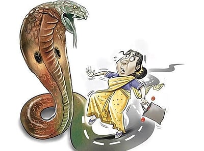 பாம்புக்கடி: நாடு முழுவதும் இருளா் மக்களை பயன்படுத்திக் கொள்ள பாஜக கோரிக்கை