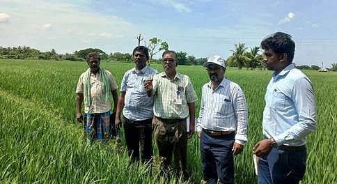 News image