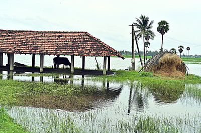 நாடு முழுவதும் 95% கிராமங்களுக்கு இணைய வசதி: மத்திய அரசு