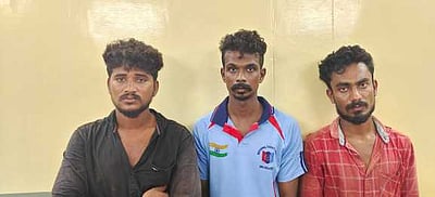 ஆடுகள் திருட்டு: 3 போ் கைது