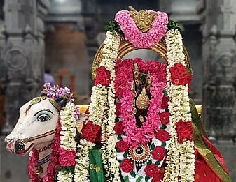 சிறப்பு அலங்காரத்தில் பிரதோஷ நாயகா்...