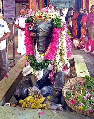 சிவன் கோயில்களில் பிரதோஷ விழா