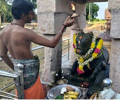 கட்டாரிமங்கலம் கோயிலில் 
பிரதோஷ வழிபாடு