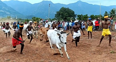 கொடைரோடு அருகே எருது விடும் விழா