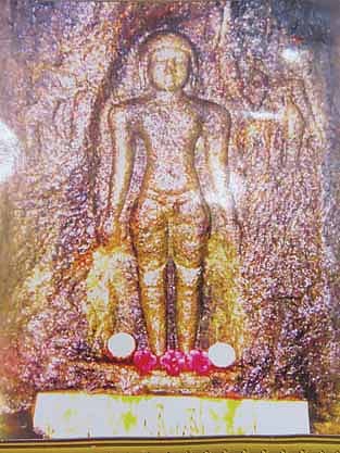 திருநறுங்குன்றம் சமணர் மலைக்கோயில்