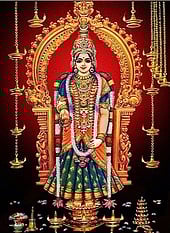 குமரி பகவதியம்மன் கோயிலில் 
12 நாள் ஆடி களப பூஜை:
ஆக. 5ஆல் தொடக்கம்