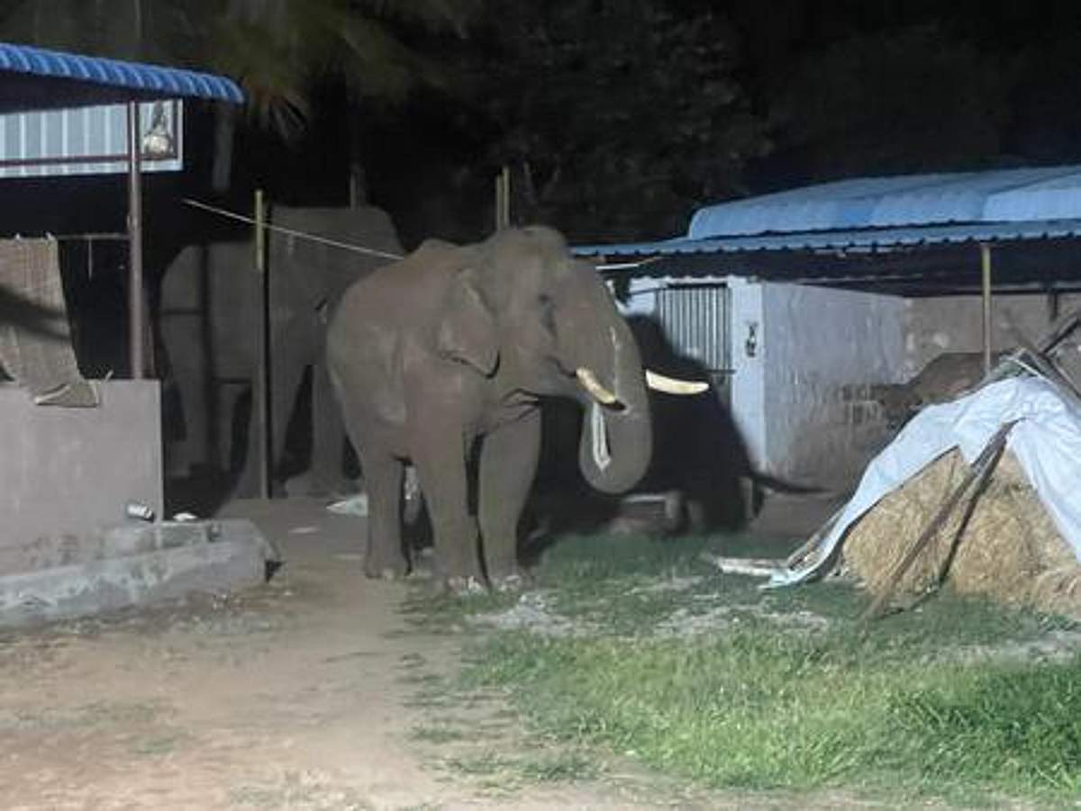 News image