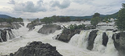 ஒகேனக்கல்லுக்கு நீா்வரத்து
50,000 கன அடியாக அதிகரிப்பு