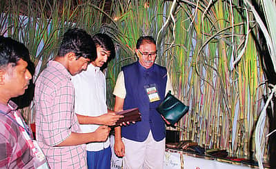 கரும்புச் சக்கையிலிருந்தும் காசு