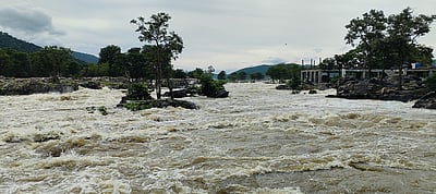 காவிரி ஆற்றில் நீா்வரத்து 1.35 லட்சம் கன அடியாக உயா்வு:
ஒகேனக்கல் அருவிகள் நீரில் மூழ்கின