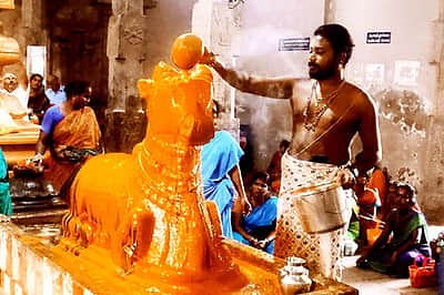 திருப்பத்தூா் சிவன் கோயில்களில்  
பிரதோஷ விழா