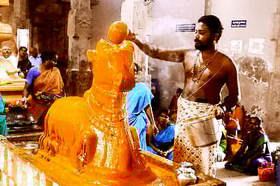 திருப்பத்தூா் சிவன் கோயில்களில்  
பிரதோஷ விழா