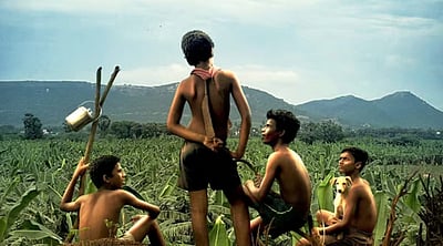 மாரி செல்வராஜின் வாழை படத்தின் அறிவிப்பு!