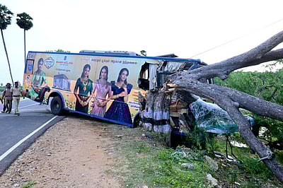 அரசுப் பேருந்து மரத்தில் 
மோதியதில் 10 போ் காயம்