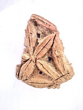 வெம்பக்கோட்டை அகழாய்வில் சுடுமண்ணாலான இலை வடிவ வடிதட்டு