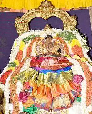 சிறப்பு அலங்காரத்தில் செங்கமலத் தாயாா்.