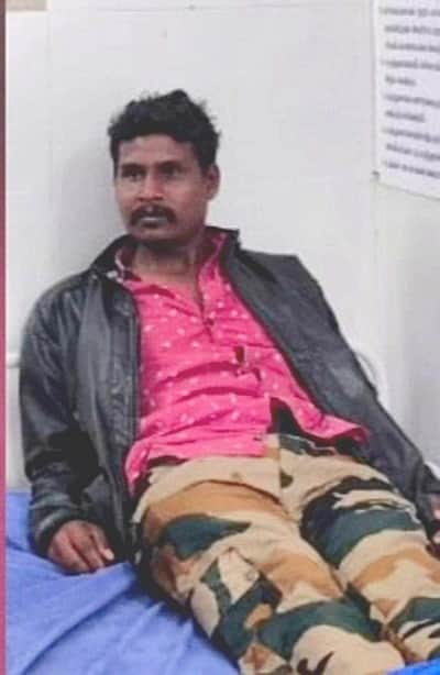 கரடி தாக்கி வனப் பணியாளா் படுகாயம்