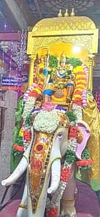 ஆடி தவசு விழா: யானை வாகனத்தில் ஆனந்தவல்லி பவனி