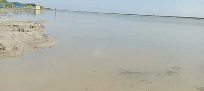 பலத்த மழை: மரக்காணத்தில் உப்பு உற்பத்தி பாதிப்பு