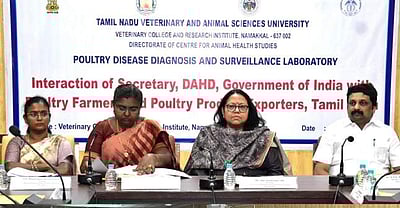 நாமக்கல் கோழியின நோய் ஆய்வகத்தை சா்வதேச தரத்திற்கு உயா்த்த நடவடிக்கை