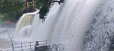 கன்னியாகுமரி மாவட்டத்தில் பலத்த மழை: அதிகபட்சமாக திற்பரப்பில் 59 மி.மீ.