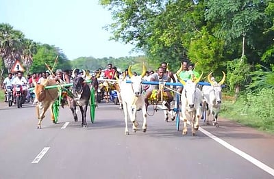 சிவகங்கை அருகே மாட்டு வண்டிப் பந்தயம்