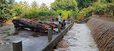 ஓமலூா் கிழக்கு சரபங்கா ஆற்றில் வெள்ளப்பெருக்கு