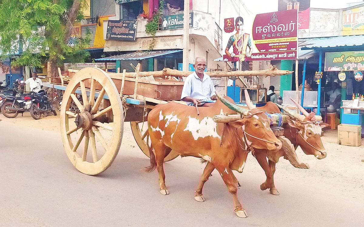 கட்ட வண்டி... கட்ட வண்டி...