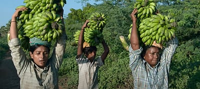 வெளியானது வாழை படத்தின் டிரைலர்!