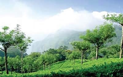 உதகை செல்வோர் கவனத்துக்கு...முக்கிய அறிவிப்பு!