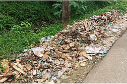 ஒகேனக்கல் வனப் பகுதியில் 1 டன் நெகிழிக் கழிவுகள் அகற்றம்