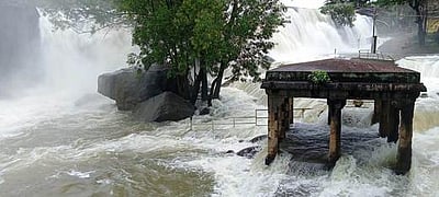 குமரி மாவட்டத்தில் பலத்த மழை: பேச்சிப்பாறை அருகே வெள்ளப்பெருக்கில் தற்காலிகப் பாலம் சேதம்- 9 கிராமங்கள் துண்டிப்பு