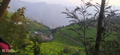மூன்று நாள்கள் சுற்றுலாவுக்கு ஏற்ற மூணாறு! 