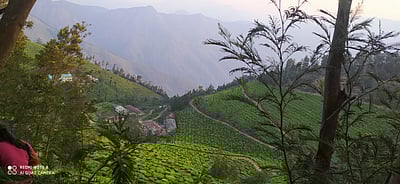 மூன்று நாள்கள் சுற்றுலாவுக்கு ஏற்ற மூணாறு! 