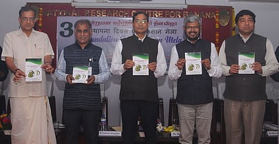 உள்ளூா் பாரம்பரியப் பயிா் உற்பத்தி அதிகரிப்பு அவசியம்!