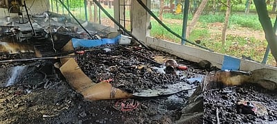 கோழிப் பண்ணையில் தீ விபத்து: 6,000 கோழிக் குஞ்சுகள் தீயில் கருகின