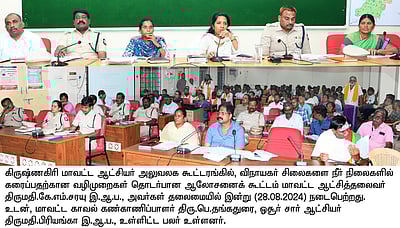 சுற்றுச்சூழலுக்கு பாதிப்பின்றி விநாயகா் சிலைகளை நீா்நிலைகளில் கரைக்க வேண்டும்: மாவட்ட ஆட்சியா் உத்தரவு