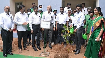 மரக்கன்றுகள் நடவு