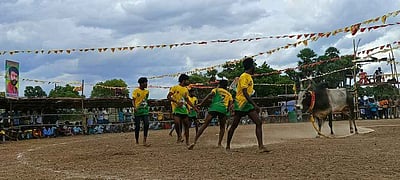 மேலத்தூவலில் வடமாடு மஞ்சுவிரட்டு