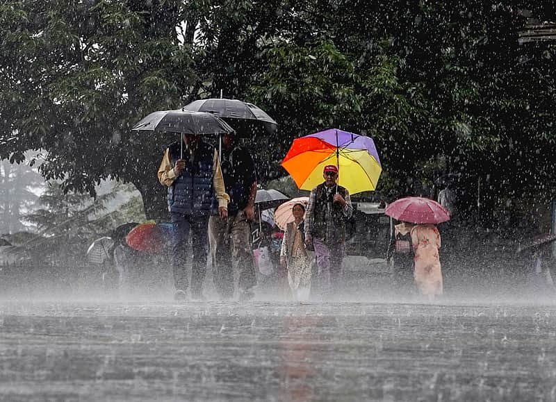 Rain